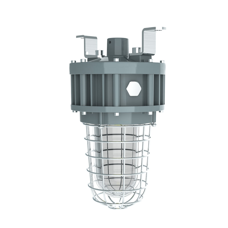 40W Explosion-Proof Jelly Jar Light-Class I Division 1–40W-5000K-AC 100–277V